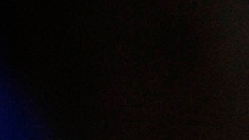 Una mujer de Milwaukee perdió a su perro y lo encuentra de venta en Facebook-GettyImages-154833118.jpeg