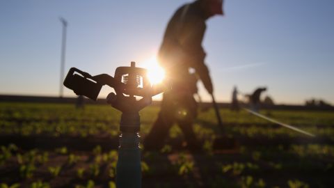 Trabadores del campo migrantes