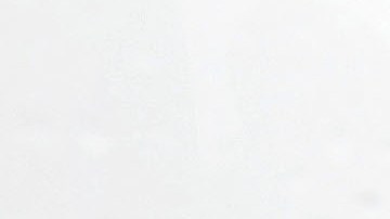 El AirTrain de JFK se inauguró en diciembre de 2003.