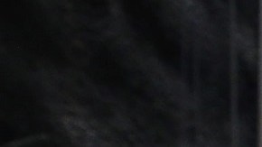 Trabajadores de la construcción en Nueva York.