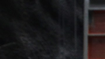 Trabajadores de la construcción en Nueva York.