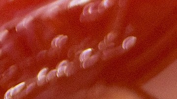 Heinz promete resolver la escasez de sobres de salsa kétchup-GettyImages-467496308.jpeg