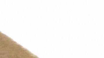 Coyotes inmigrantes frontera