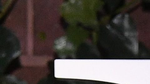 Selena Gómez es una de las jóvenes estrellas más queridas de Hollywood.