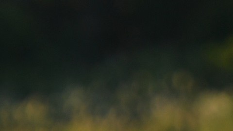 El presidente Trump vivirá una temporada en Nueva Jersey.