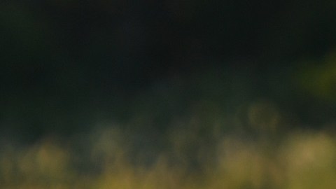 El presidente Trump vivirá una temporada en Nueva Jersey.