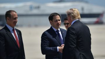 Donald Trump y Marco Rubio
