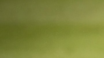 El Pipita juega en el 2020 en el Miami Inter.