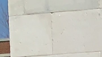 Después de un año de "batallas" los "esenciales" tendrán opción de un auxilio.