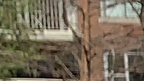 Trabajadores excluidos festejan la aprobación de los fondos que les darán ayuda.