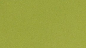 Julian Nagelsmann ira al Bayern Munich