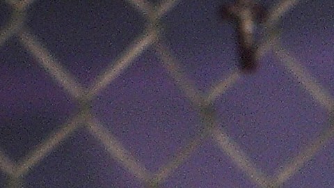 Karol G dejó ver su senos por la parte de abajo de su top y acaloró el Instagram.