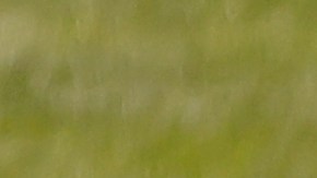 Prmera victoria de Luis Castillo en 2021