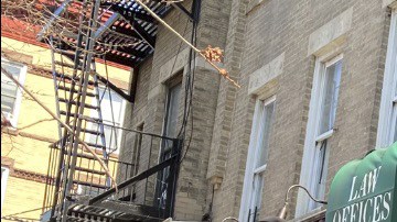 Se espera la presencia latina en las urnas en el nuevo ciclo electoral.