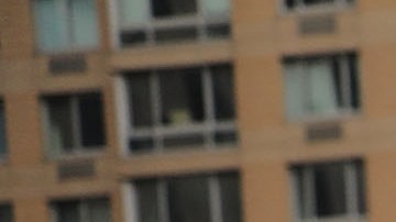 Los rallys por la ciudadanía se han realizado en varias partes del estado y del país.