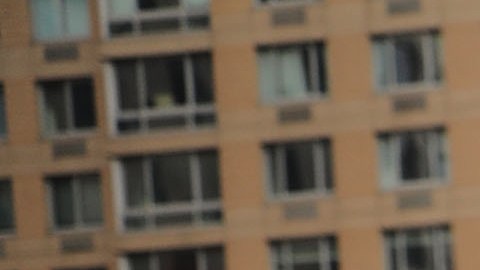 Los rallys por la ciudadanía se han realizado en varias partes del estado y del país.