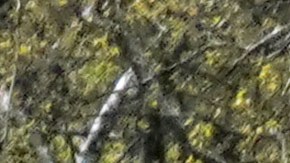 Recomiendan a los neoyorquinos usar el sentido común a la hora de decidir si usan o no máscaras al aire libre.