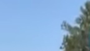 Matan al hermano de Alfredito Olivas a su esposa y un bebé en territorio del Mencho