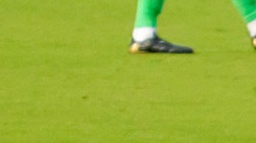 Bradley, capitán del equipo canadiense, fue uno de los sorprendidos por el animal.