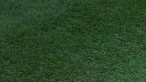 Cabrera llegó a 489 jonrones en su carrera.