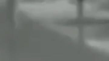 CBP publicó un video en redes sociales.