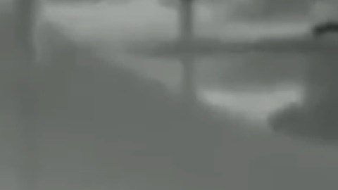 CBP publicó un video en redes sociales.