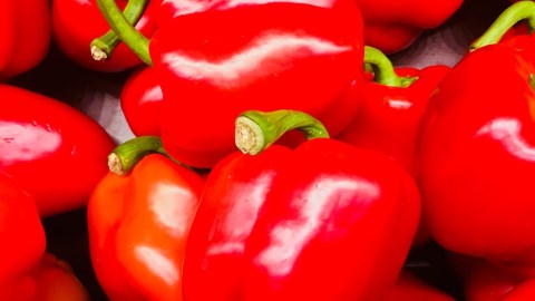 Pimientos rojos