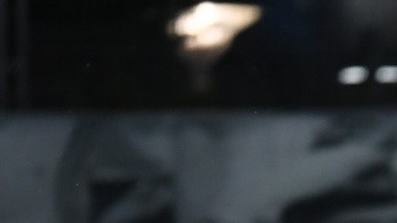 El Capitán América en plena celebración del gol.