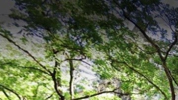 Regis High School, 55 East 84th St, NYC