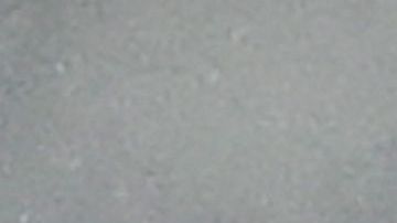 Ronald Koeman y Piqué protestan