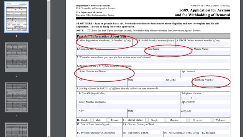 Recuerde revisar bien su formulario antes de enviarlo a USCIS.