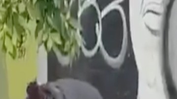 VIDEO: Era mujer narco, la desalmada que golpeó brutalmente a abuelito