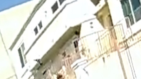 VIDEO: Hombre hispano lanza martillo a policías y lo abaten; “Padre celestial, ayúdame”, dijo antes del tiroteo