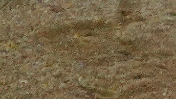 Mas historia para Yermin Mercedes en la MLB