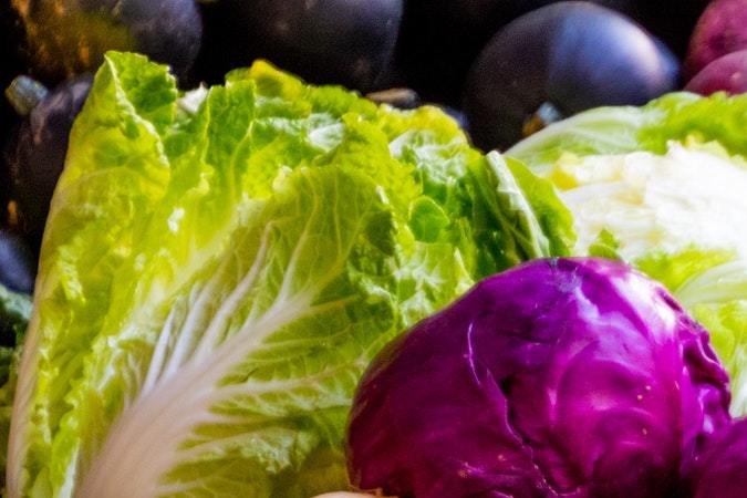 Alimentos sustentables