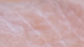 Anciana trabajo Record Guinness