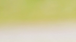 Reencuentro anciano hijo