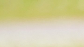 Reencuentro anciano hijo