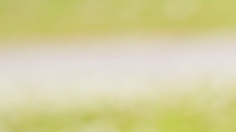 Reencuentro anciano hijo