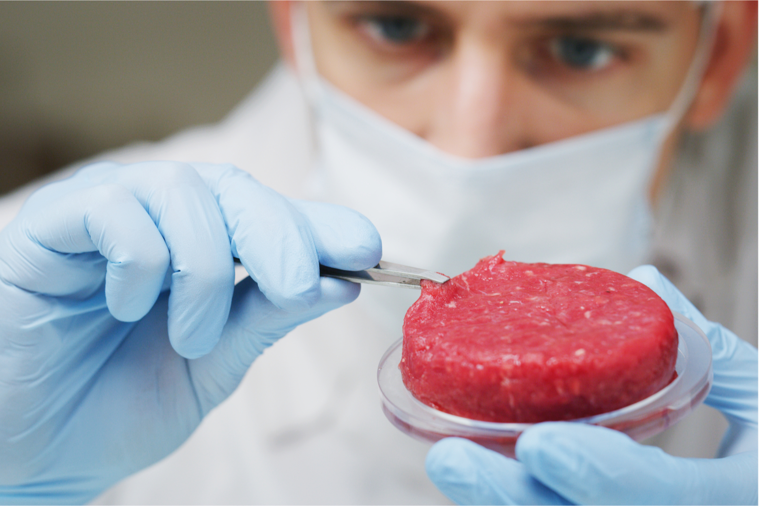 Qué Opinan Los Expertos De La Carne Producida En Laboratorio - El Diario NY