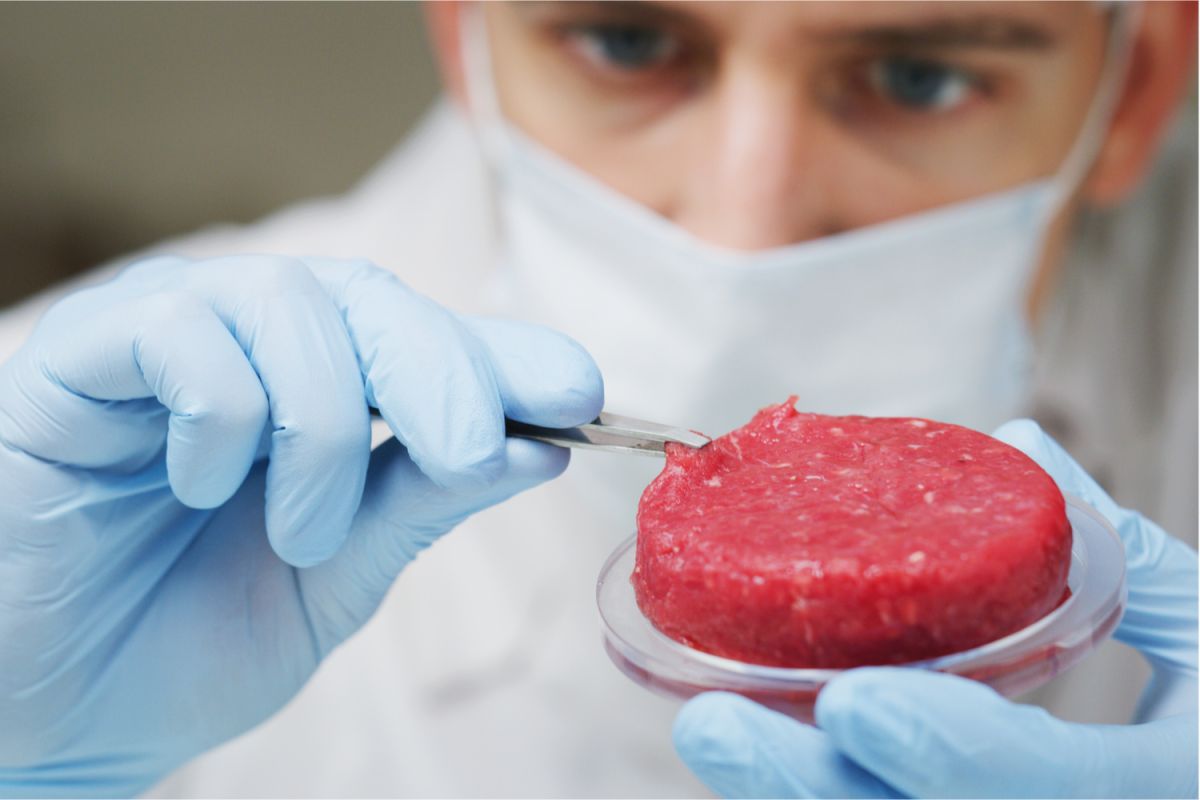 Para algunos, empeñarse en crear carne en laboratorio no tiene sentido, dado que también se puede obtener proteína de las legumbres