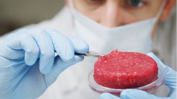 Para algunos, empeñarse en crear carne en laboratorio no tiene sentido, dado que también se puede obtener proteína de las legumbres