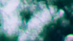 Castigo sentadillas muerte