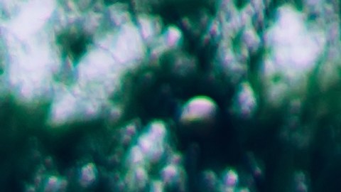 Castigo sentadillas muerte