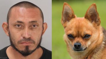 Alfredo Leon Ruiz apuñaló a un perro.