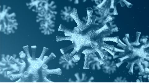 Coronavirus