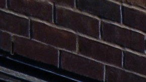 Shannon Wait demanda Google