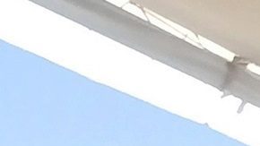 Denuncia anciana maltrato vacuna coronavirus