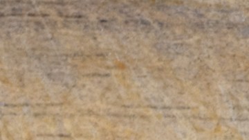 Prohibir galletas de animales