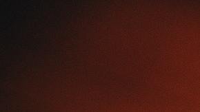 Gato negro incendio basura viral